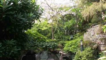 天然プール / 17