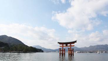 施設からの眺望 / 17