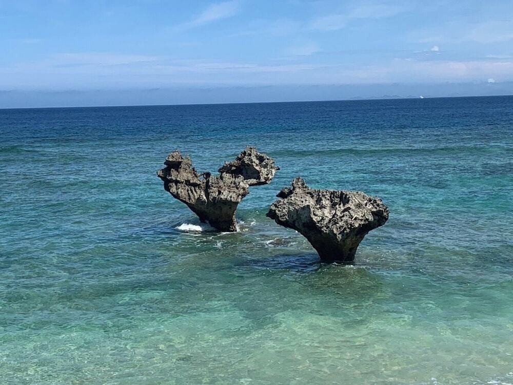 子供向けアクティビティ