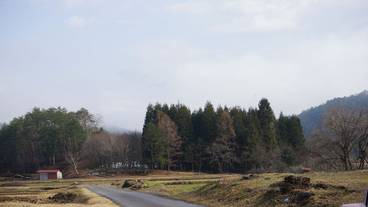 屋外ダイニングエリア / 28