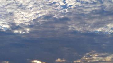 施設からの眺望 / 18