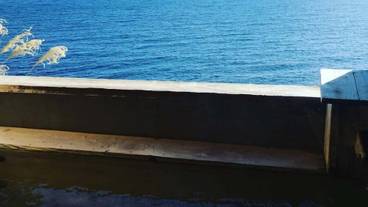 ビーチ / オーシャン ビュー / 15