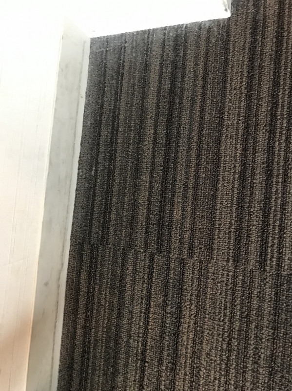 じゅうたんが黒いから角のホコリがすごい目立つ