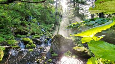 施設からの眺望 / 34