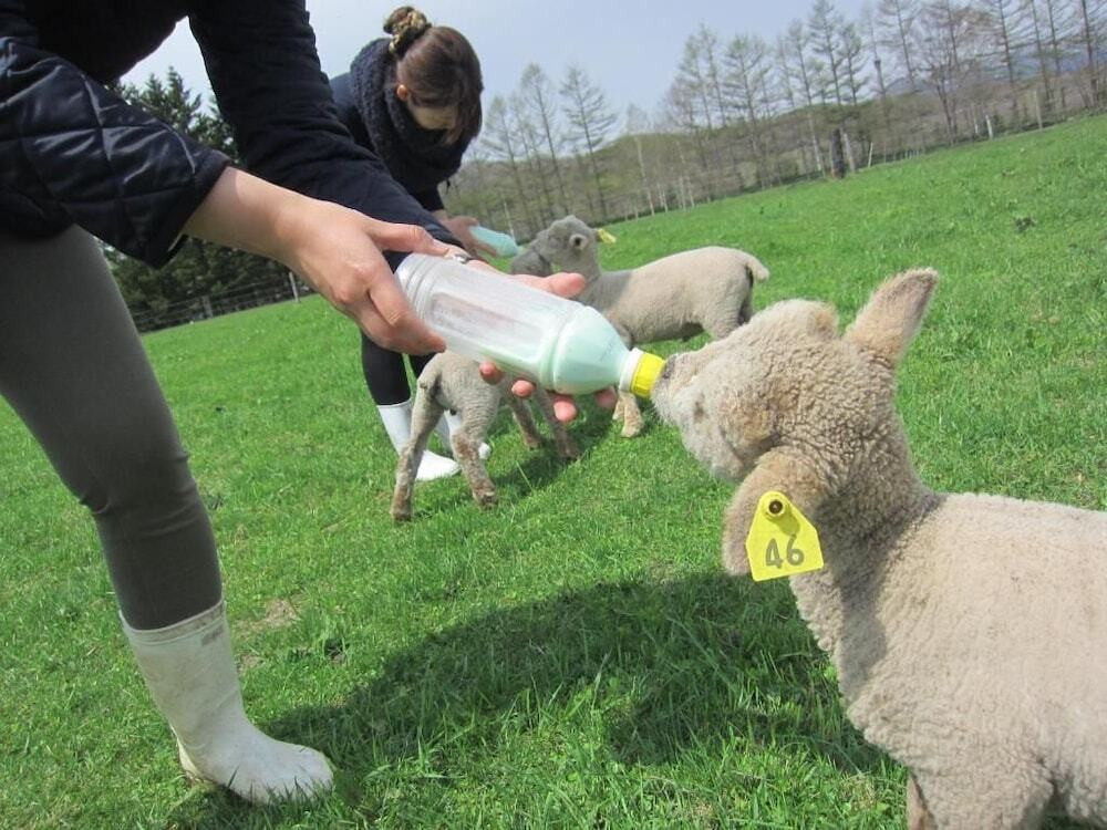 フィットネス設備