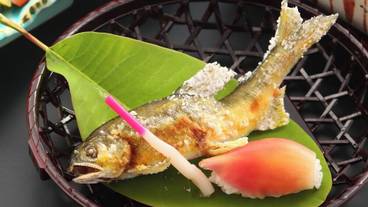 食事・飲み物 / 21