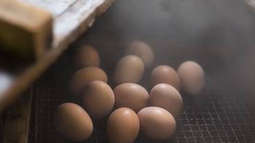 施設内の設備 / 3