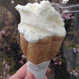 ドーカン（ドーカン）