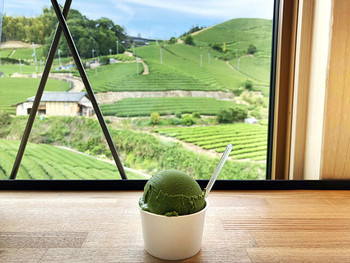 「ダンダンカフェ」 料理 109003084 濃い抹茶ジェラート400円(2019.6月初旬)