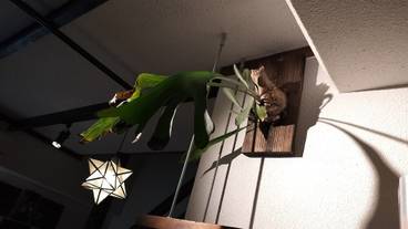 リビング エリア / 26