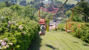 源泉と離れのお宿 月(ゲンセントハナレノオヤド ツキ) / 1