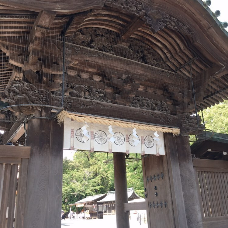 4rerjoseさんの写真 / 6