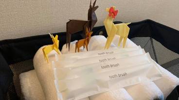 客室の設備とサービス / 32