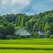 まるがやつ（千葉県 コテージ・ロッジ・一棟貸） / 4