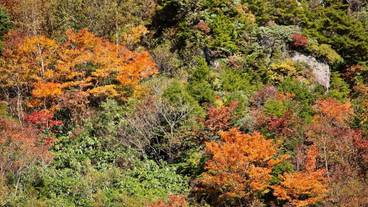施設からの眺望 / 10