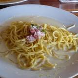 だぐらすふぁ~。(ダグラスファー)