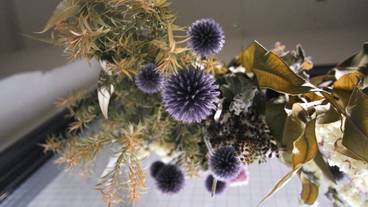 施設内の設備 / 6