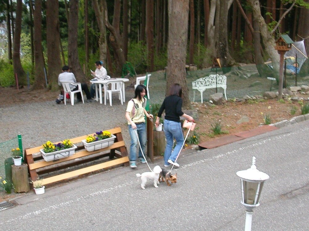 施設からの眺望