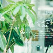 Len Kyoto Kawaramachi（京都府 民宿） / 2