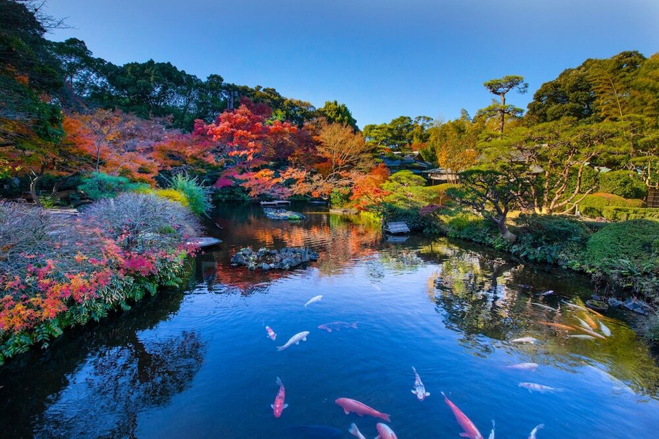 日本庭園(3)