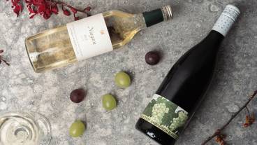 食事・飲み物 / 10