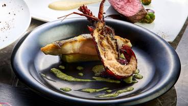 レストラン / 23