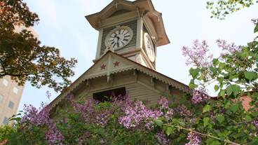 観光スポット / 3