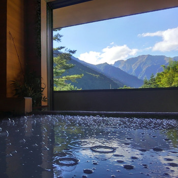 高濃度水素風呂や田舎料理に癒される3529140