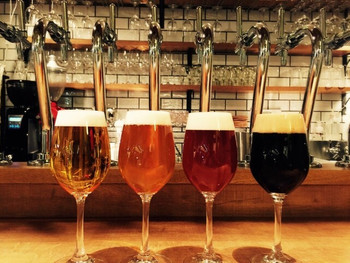「六鹿」料理 1028752 国産樽生クラフトビール。道産を中心に常時７～８種類。
