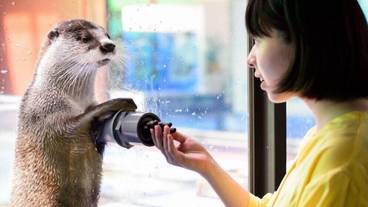 子供向けアクティビティ / 3