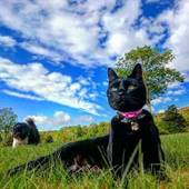 シルバー志賀(長野県 リゾートホテル) / 5