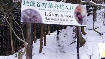 観光スポット / 3