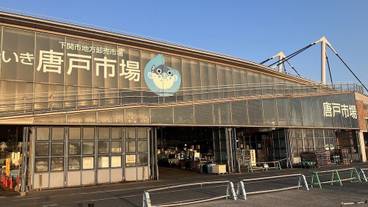 ランド ビュー / 31