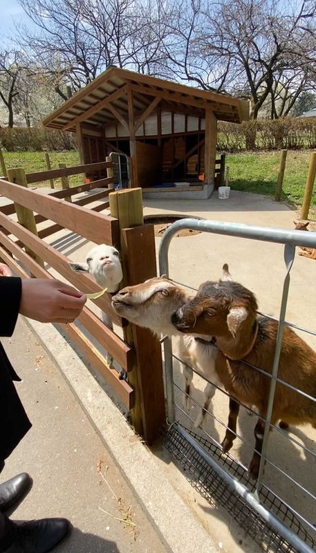 shihoko0922さんの写真 / 2