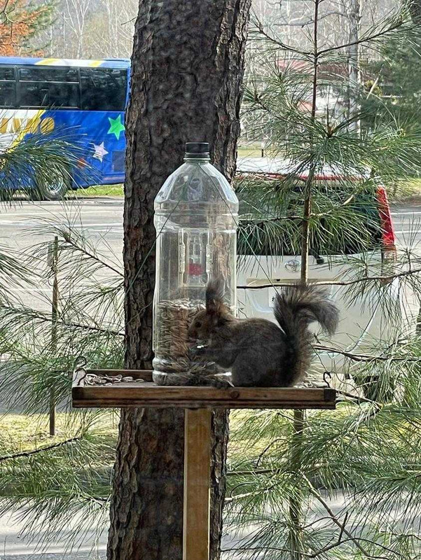 ss31031226さんの写真 / 1