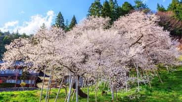 ランド ビュー / 8