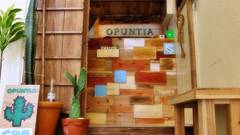 ゲストハウス オプンティア（石垣島）