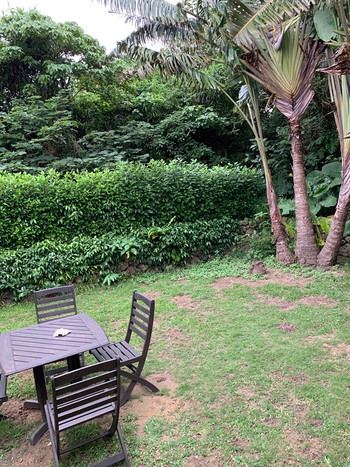 「琉夏」 その他 140620341 