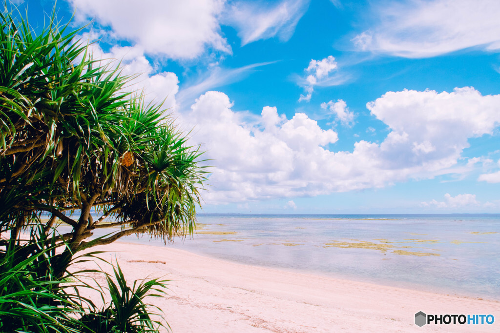 いかがでしたか？3504034