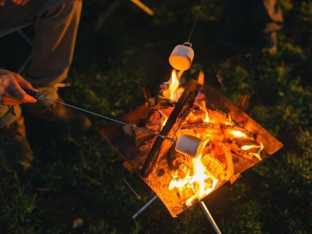 バーベキュー / ピクニック エリア