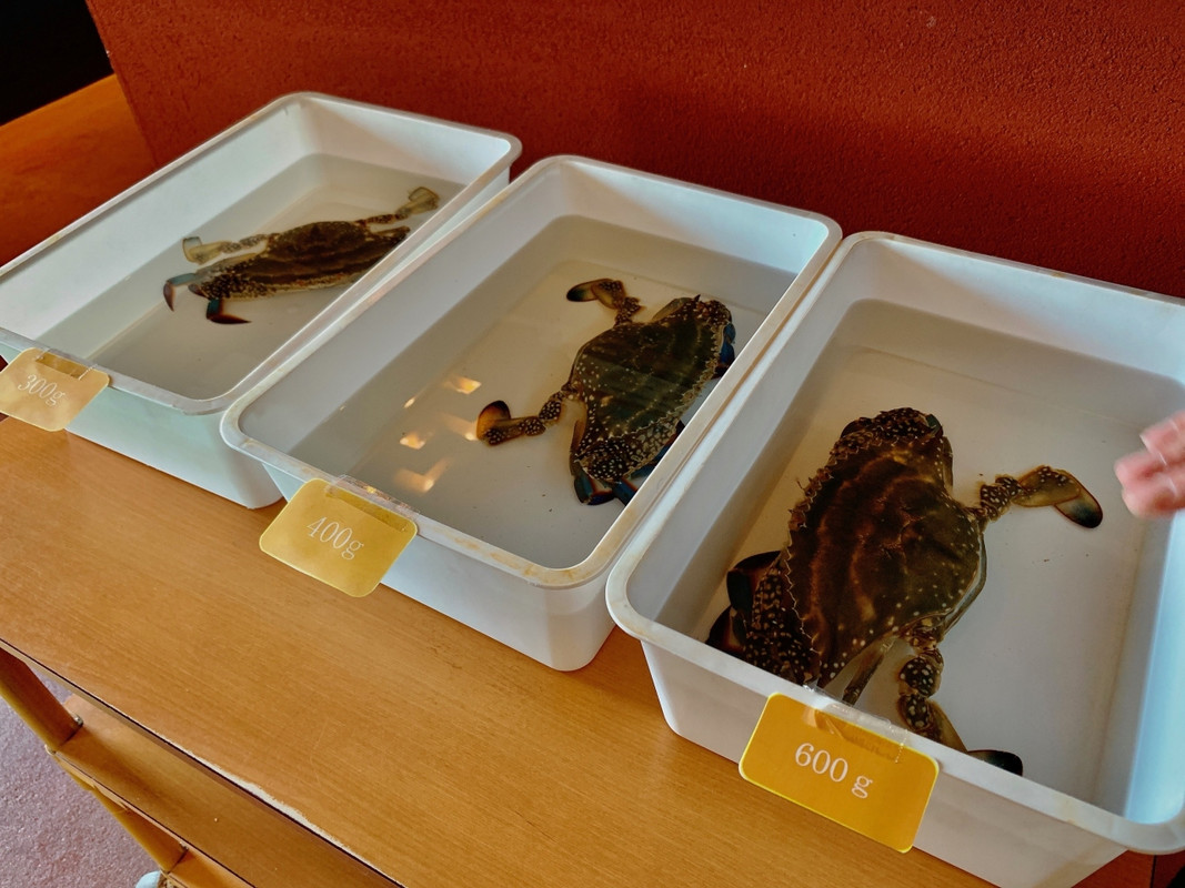 カニを選ばさられる