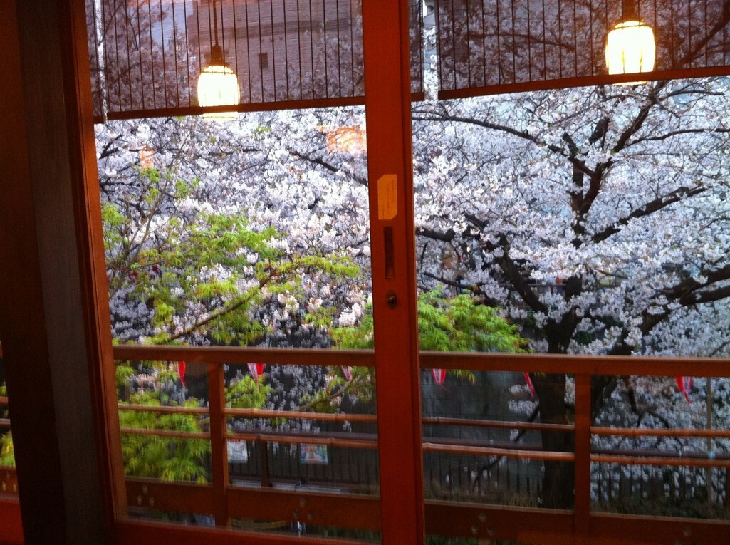 「はし田屋 中目黒店」その他 24721 窓からの桜
