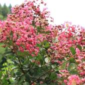 三船温泉 城山（大分県）（大分県 民宿） / 4