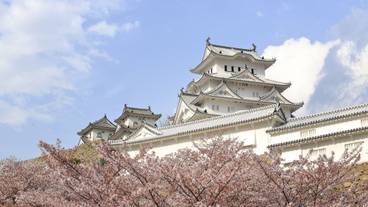 観光スポット / 7