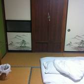 老神温泉 天然湯 見晴荘（群馬県 旅館） / 2