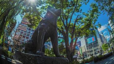 シティ ビュー / 16