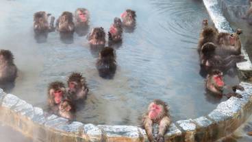 観光スポット / 13