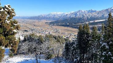 部屋からの景観 / 8