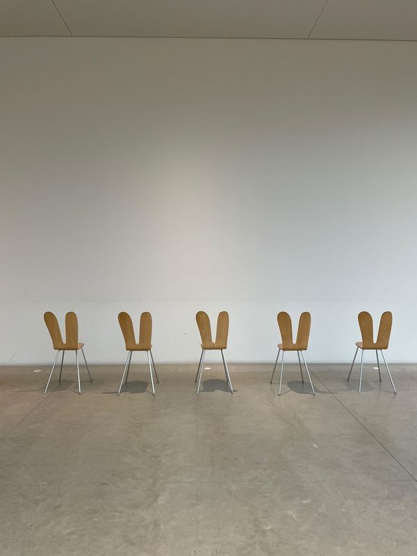 yi02qxさんの写真 / 1