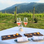 ワイナリーや美術館がホテルに！？全国の「泊まれる〇〇」で非日常気分に浸ろう【7選】